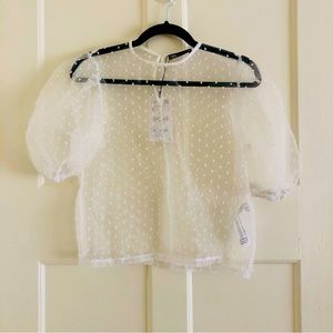 Sheer Dotted Blouse with Puff Sleeves